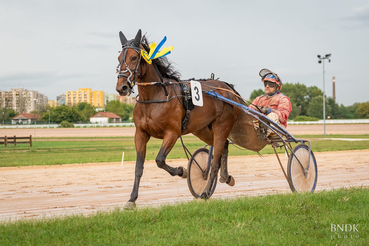 Freya T Boko tovább menetel