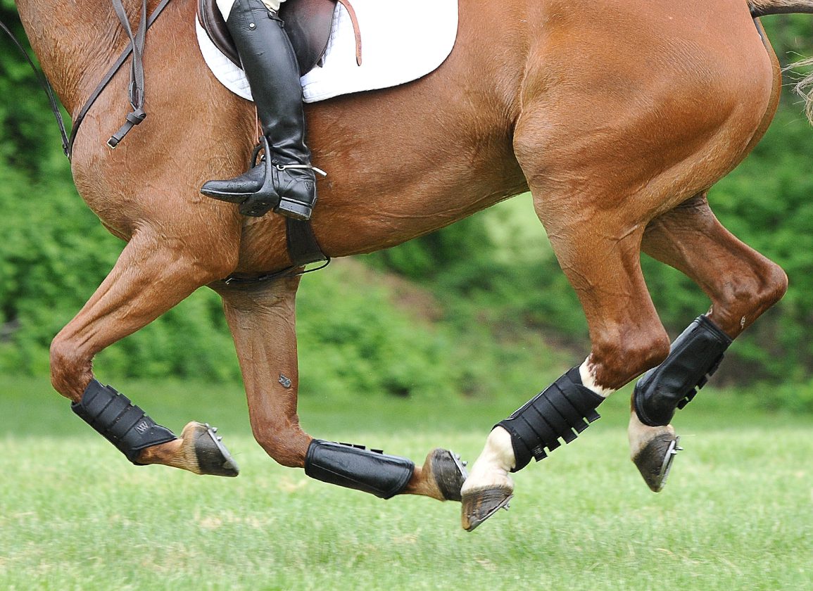 sporthorse-eventing-cross-country-galloping-legs-hooves-shoes-studs-print-ska_7067_sarah_andrew.jpg