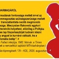 TÖPRENGÉS – a parlamenti kétharmad hátulütőjéről