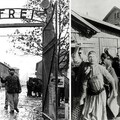 1221. BEKIÁLTÁS: Tépelődések Auschwitz tükrében