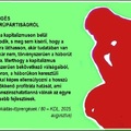 A kapitalizmuspártiság – háborúpártiság