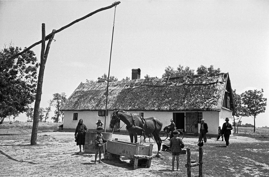 magyartanya1956printest-erich_lessing.jpg