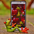 Mobiltelefon rémálom