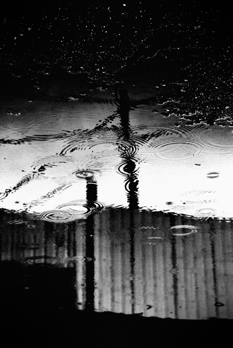 The_Gravy_Rain_by_SorroW_Tiger.jpg