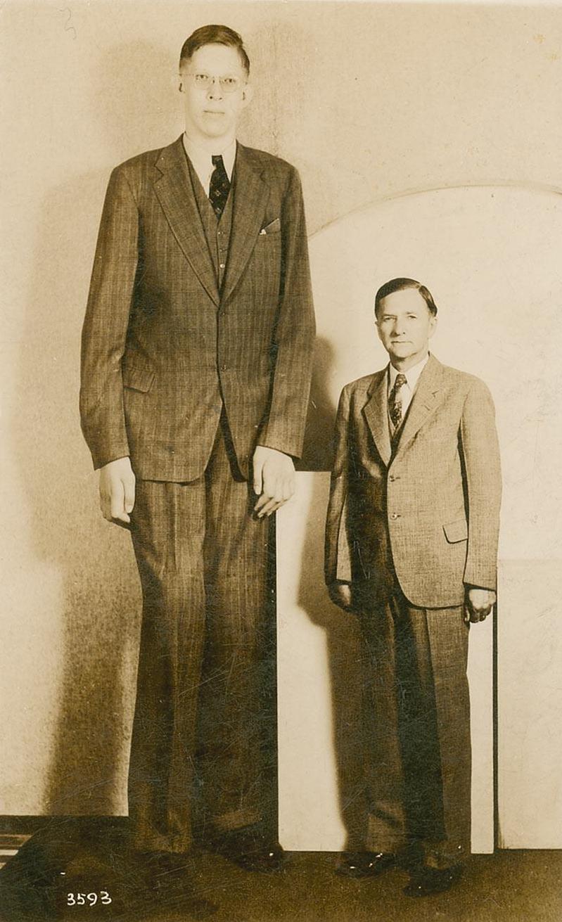 robert_wadlow_postcard.jpg