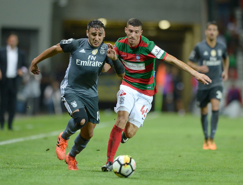 salvio_maritimo.jpg