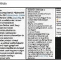 "Ingyen senki nem rossz. Az ördög csak a megfelelő percent haszonnal dolgozik"