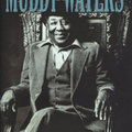 Robert Gordon – Muddy Waters (2008), Cartaphilus Könyvkiadó