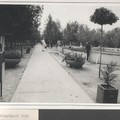Napi retro