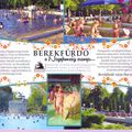 Megjelenés