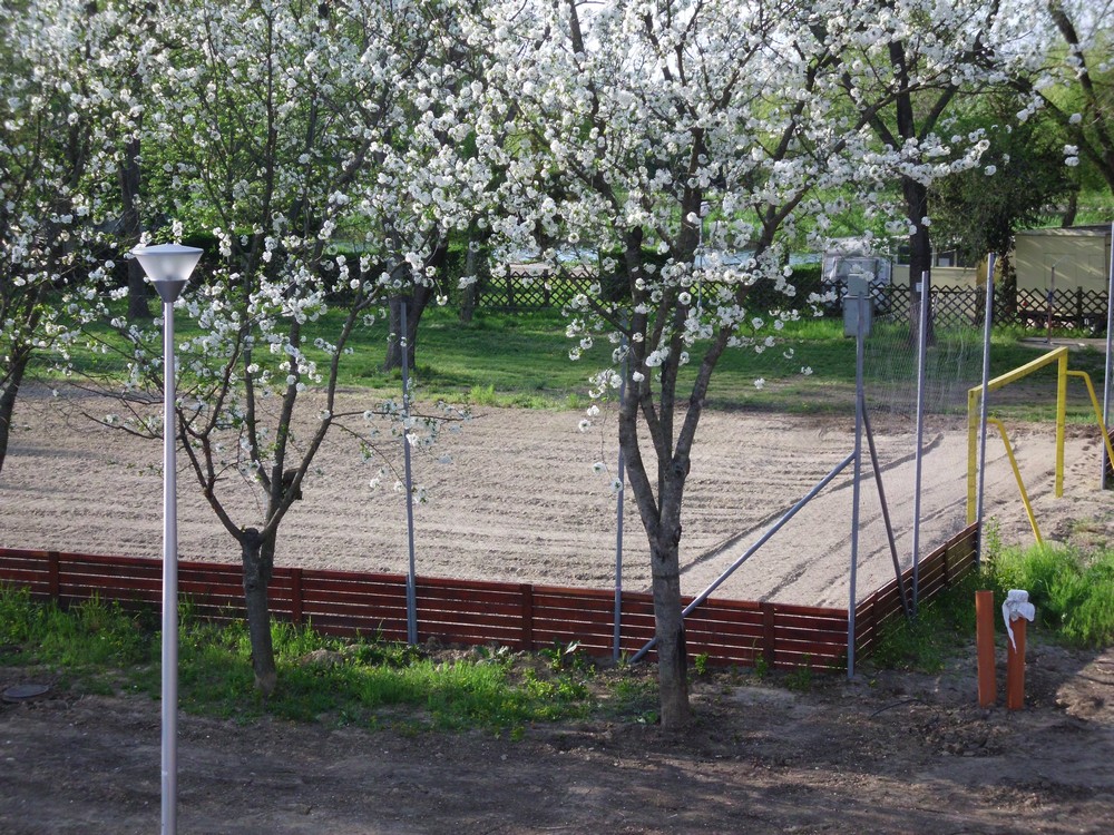 hpim2512.jpg