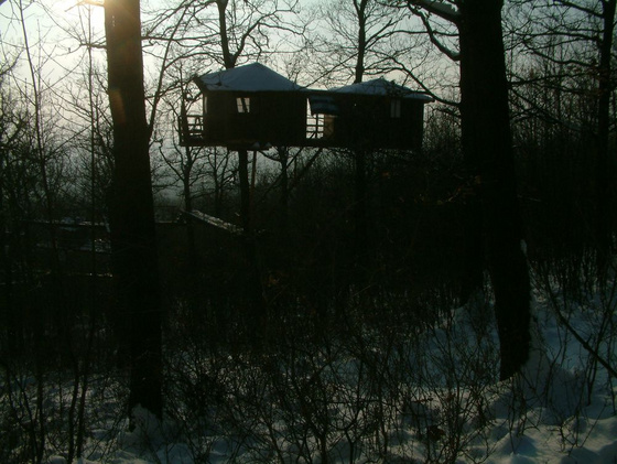 gengaj: 2010 02161002160075