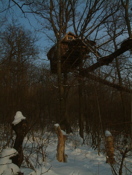 gengaj: 2010 02161002160084