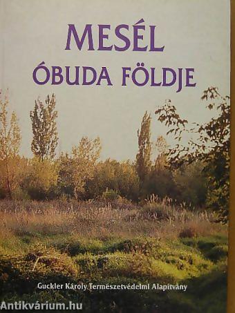 mesél óbuda.jpg