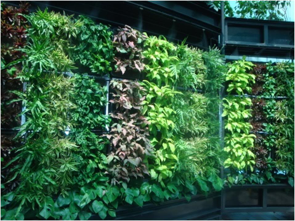 changiairportverticalgarden2.jpg