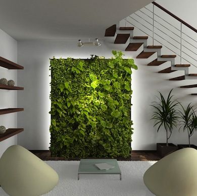 indoor_wallgarden.jpg