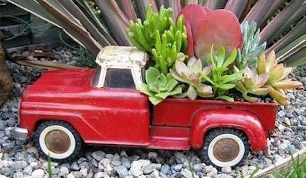 succulenttrucks-600x350.jpg