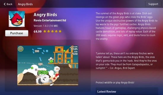 angry_birds.jpg