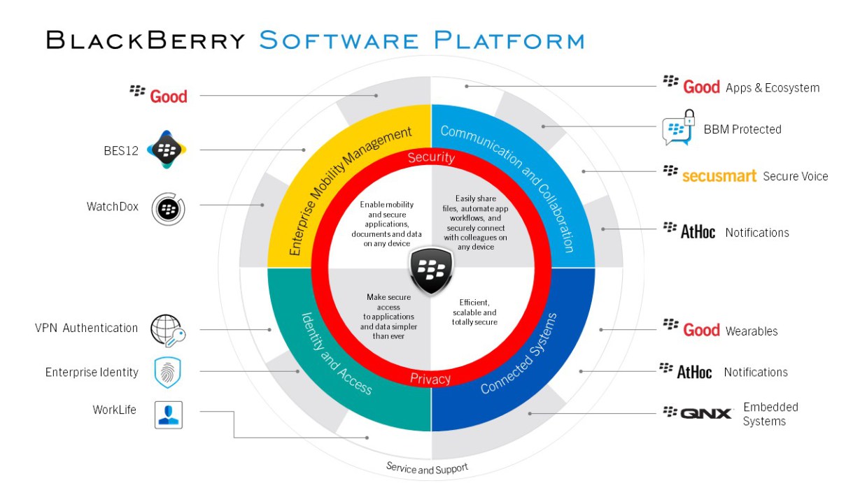 bb_software_platform.jpg