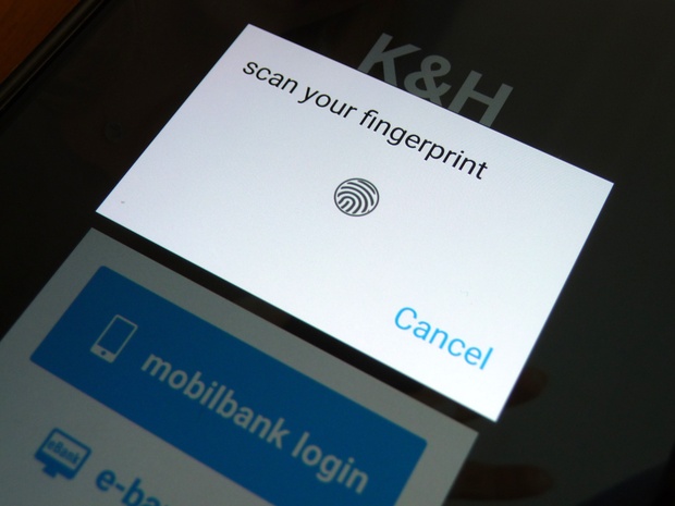 kh_fingerprint.jpg