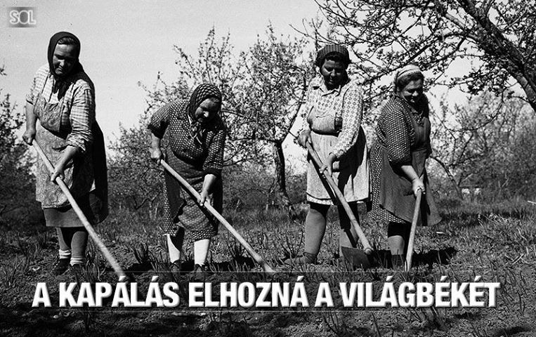 Blogra1.jpg