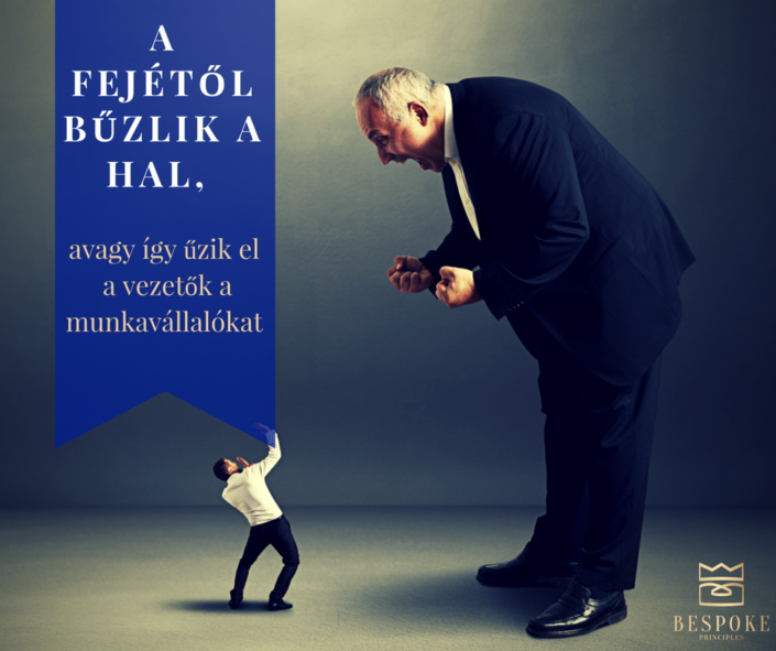 a-feje_to_l-bu_zlik-a-hal-705x591.png
