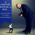 A fejétől bűzlik a hal, avagy így űzik el a vezetők a munkavállalókat