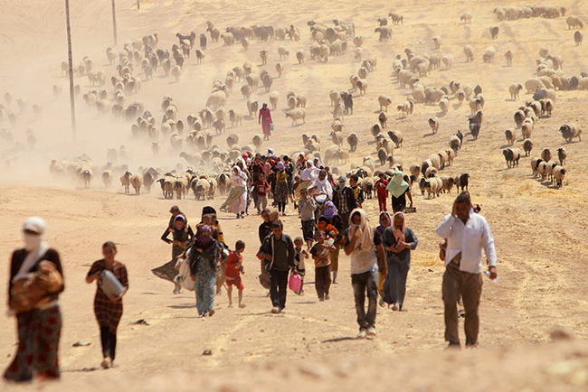 yazidi-refugees-flee-iraq.jpg