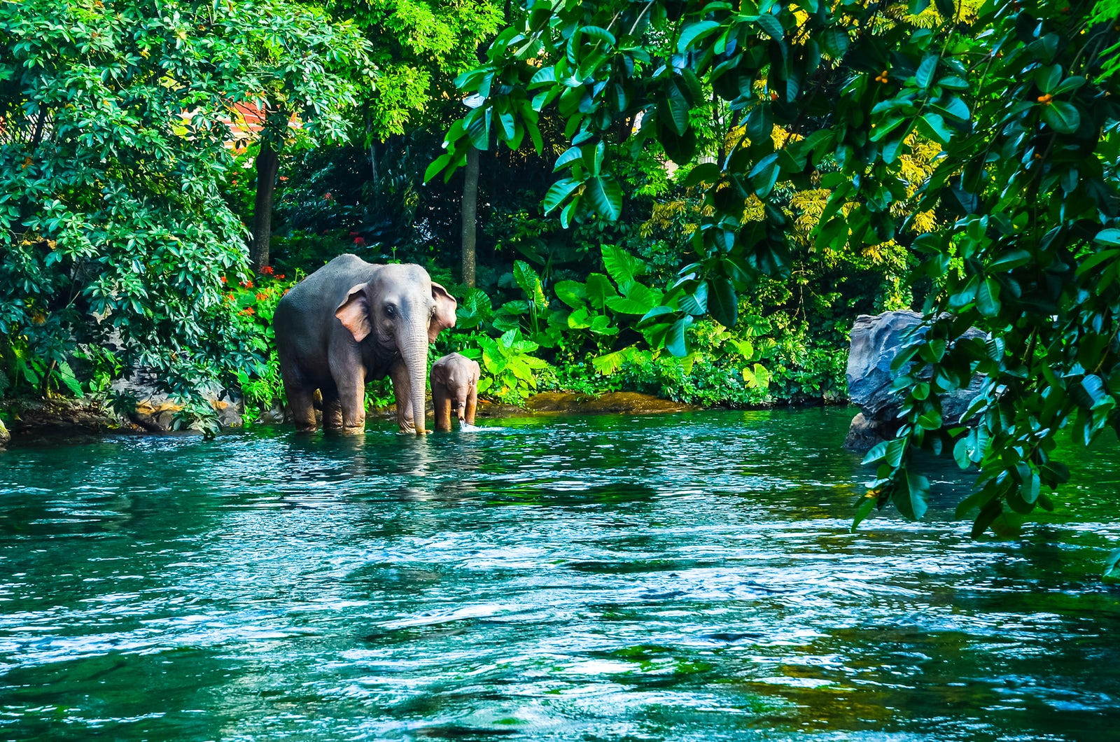 khao_yai_national_park.jpg