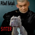 Sinter - Pitbull Kutyák Albuma