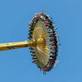Smart Systems Driving the Future of Amusement Equipment Performance