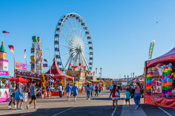 custom_cabin_design_and_material_choices_for_ferris_wheel.jpg