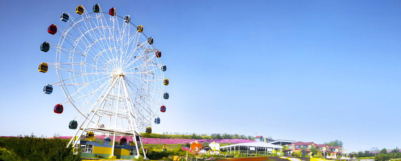 structural_variations_and_size_adaptations_of_giant_ferris_wheel.jpg