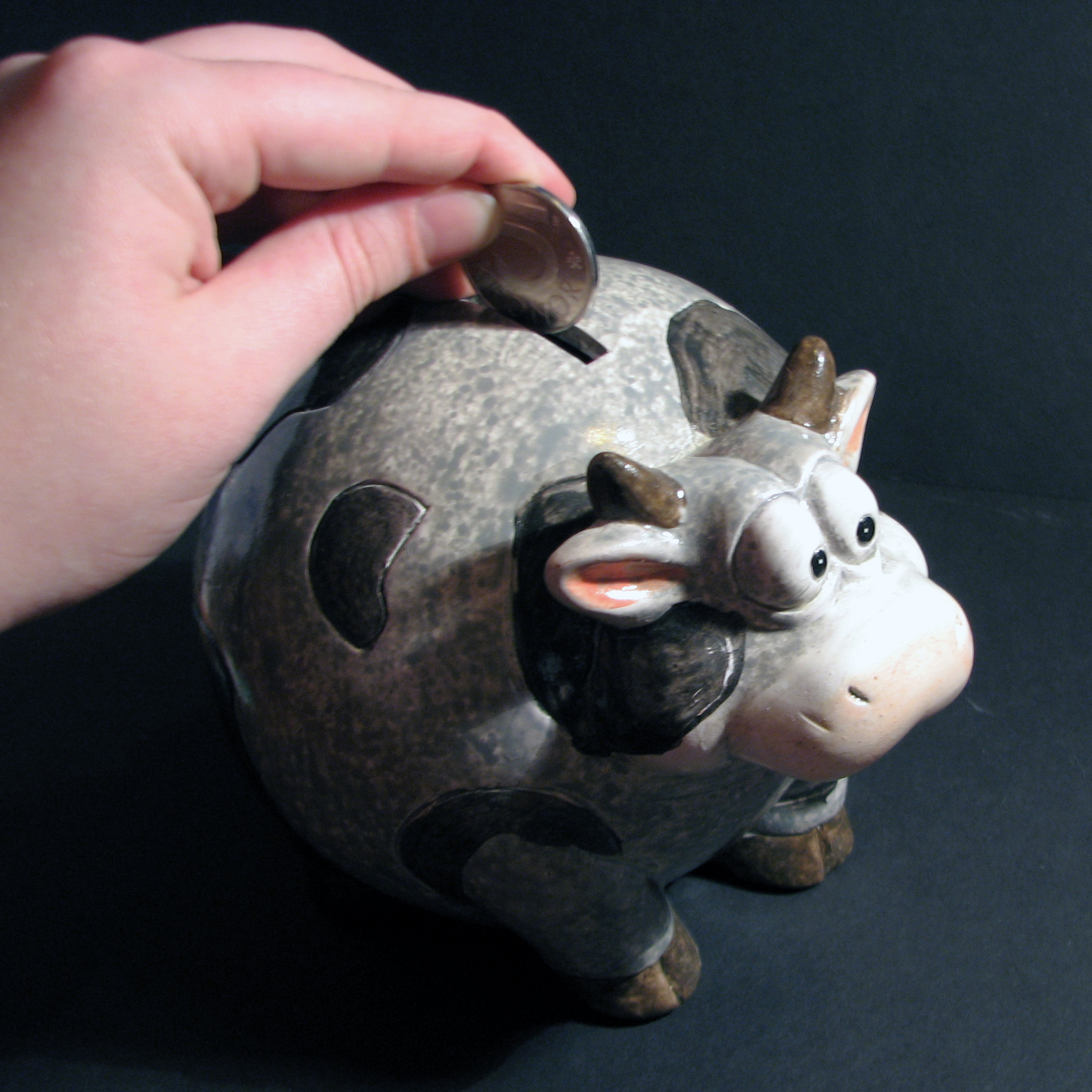piggy-bank-1239661.jpg