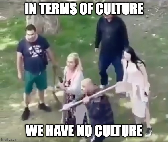 culture_meme.jpeg