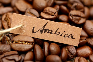 Arabica kávé jellemzői