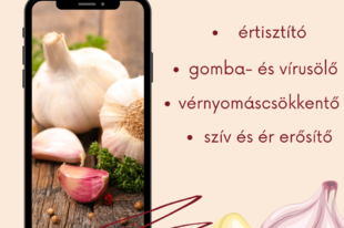 Fokhagyma mi mindenre jó?