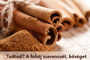 Te miben hiszel?