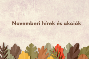 Betterstyle novemberi hírek