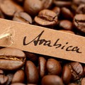 Arabica kávé jellemzői - Legjobb kávé!