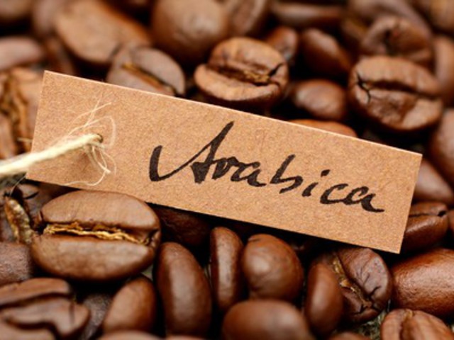 Arabica kávé jellemzői - Legjobb kávé!