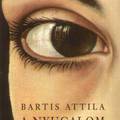 Bartis Attila - A nyugalom