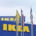 [BG] IKEA áruház Szófiában