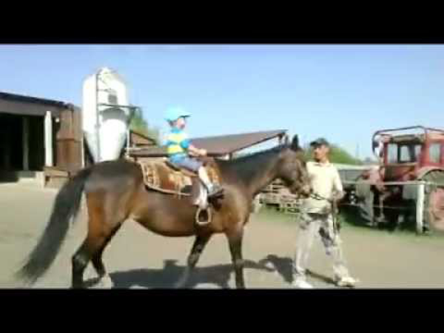 Szubál új kalandjai