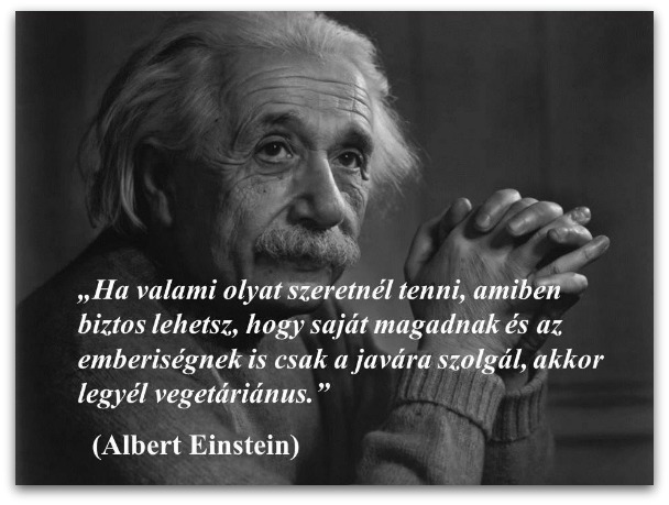 Einsteinvegetáriánus.jpg