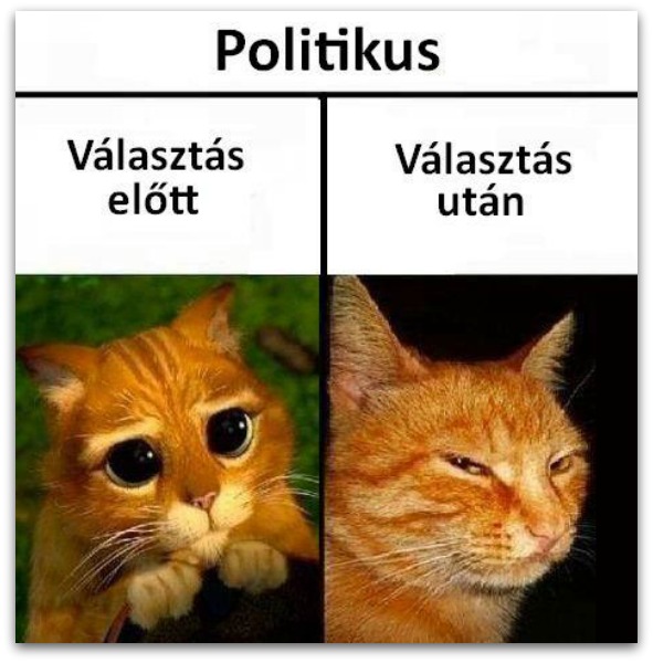 politikusok.jpg