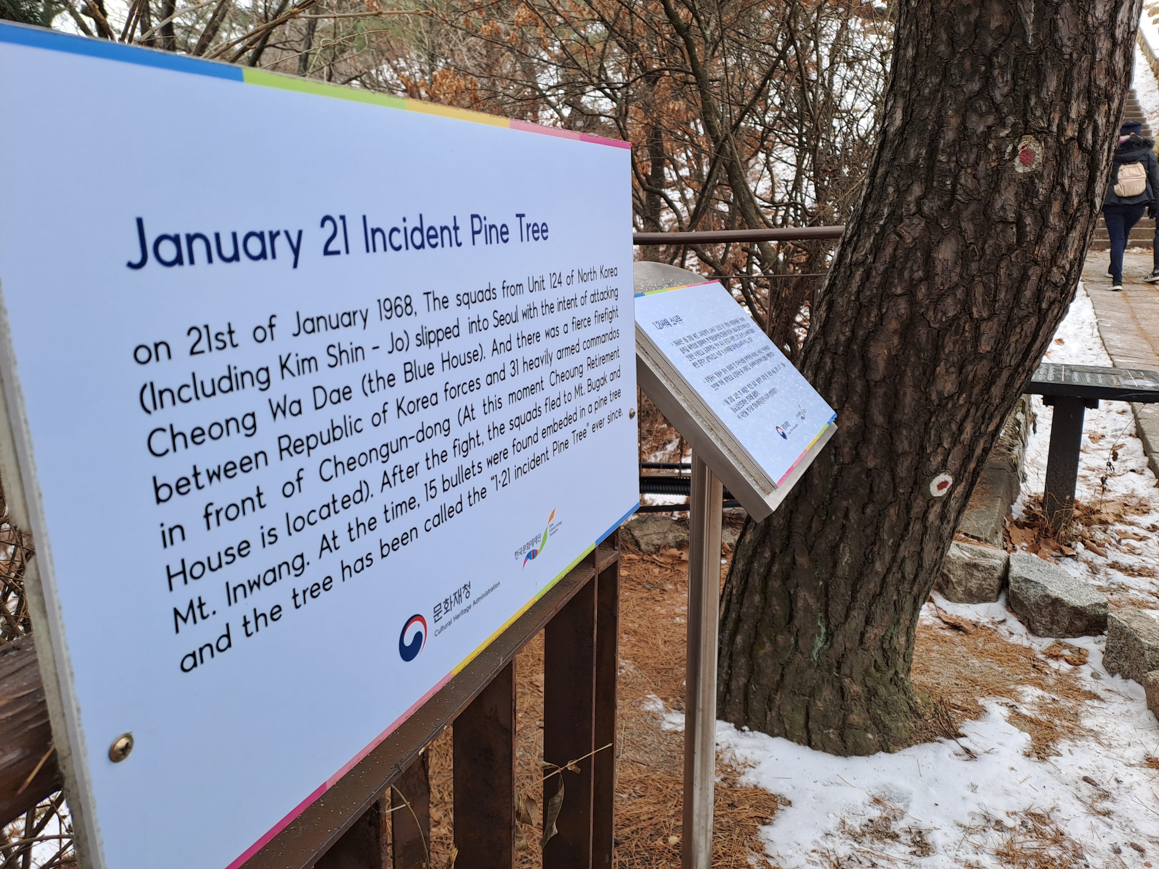 1968. január 21-én néhány észak-koreai bejutott Szöul területére, és meg akarta támadni az elnöki rezidenciát. Tűzpárbaj alakult ki a dél-koreaiakkal, aminek következtében az északiak a hegyekbe menekültek, később pedig 15 golyót találtak egy közeli fenyőfába ágyazódva. A fa azóta a megtisztelő ‘január 21-i incidens fenyőfa‘ nevet viseli.