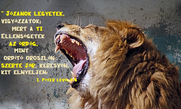 oroszlan.jpg