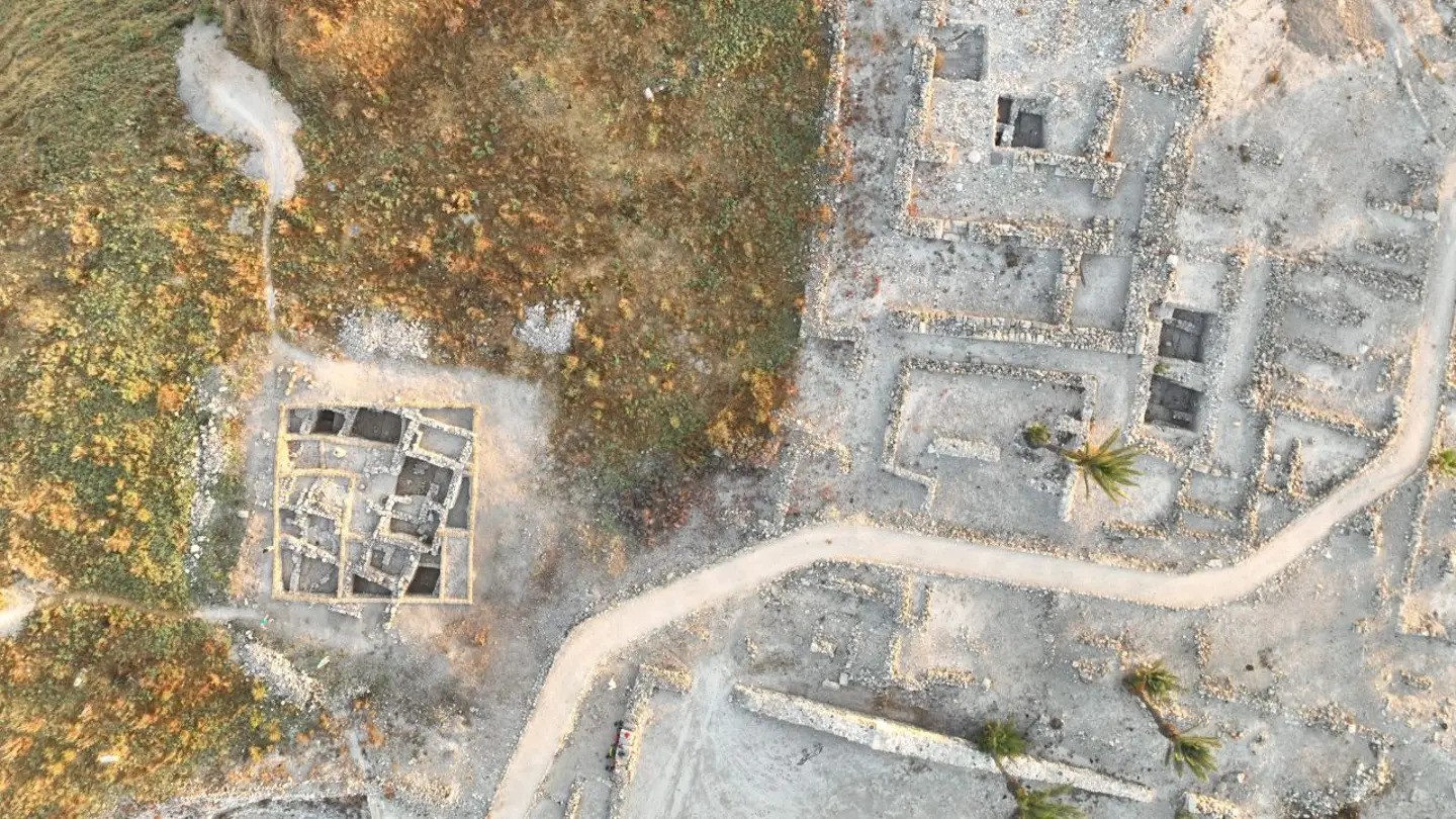 area-x-megiddo-ezgif_com-webp-to-jpg-converter.jpg
