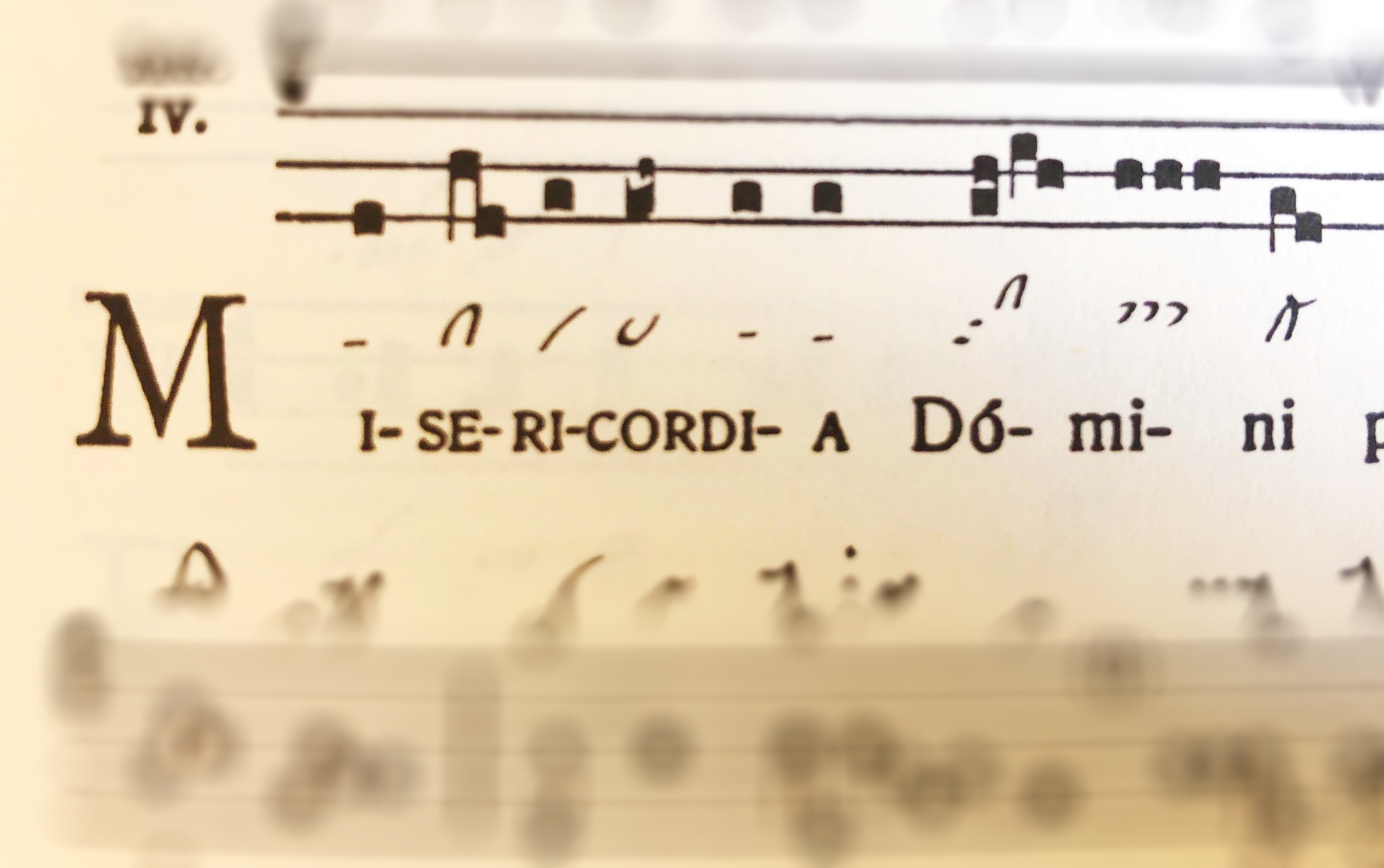 misericordia_domini.jpg